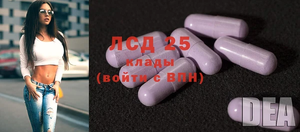 spice Краснослободск