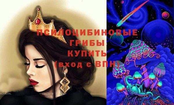 spice Краснослободск